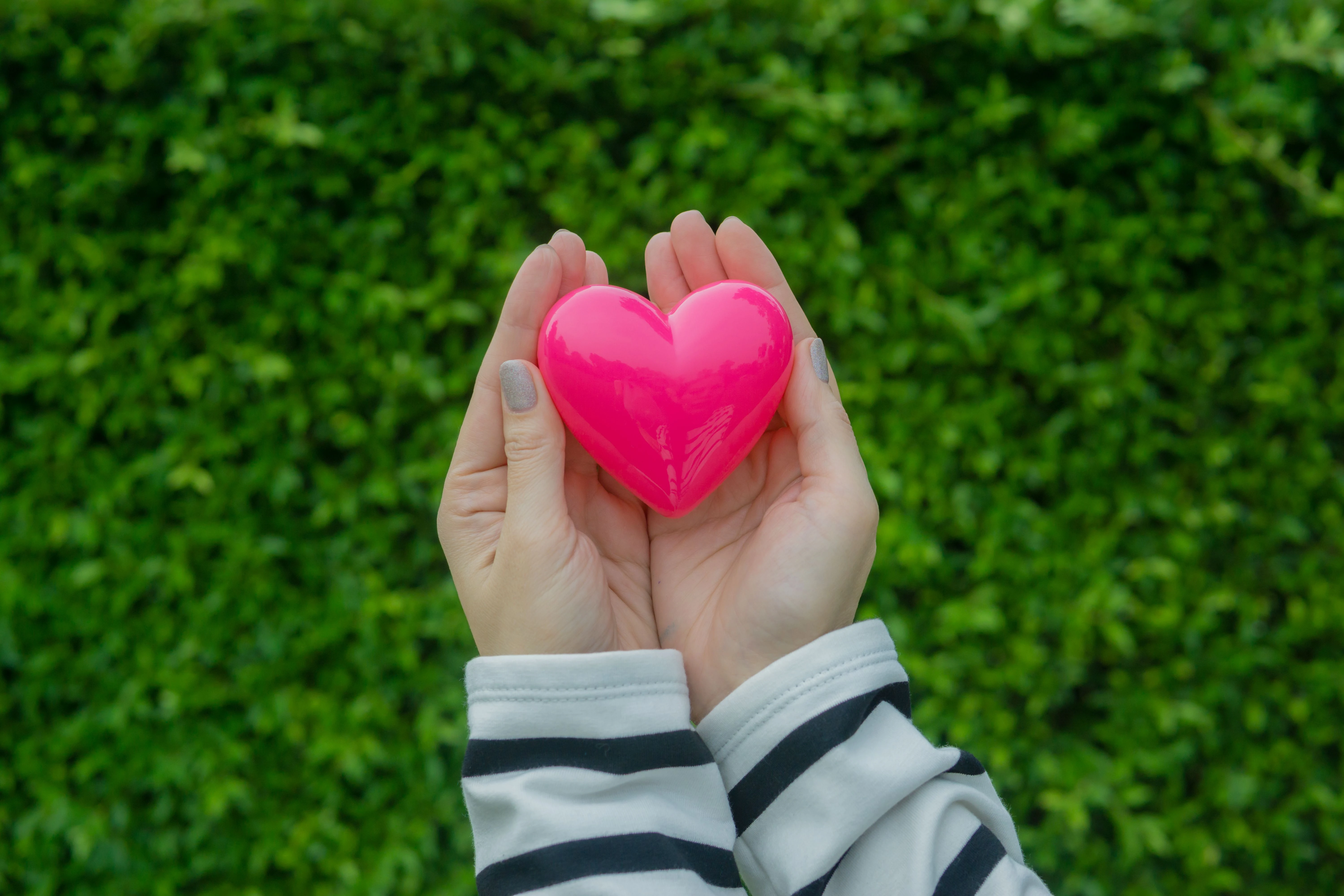 Hands holding a pink heart in front of green foliage